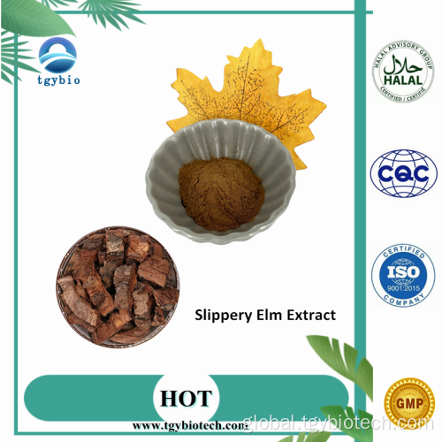 China 100% Natural Slippery Elm Bark Extract 4:1~20:1 Supplier